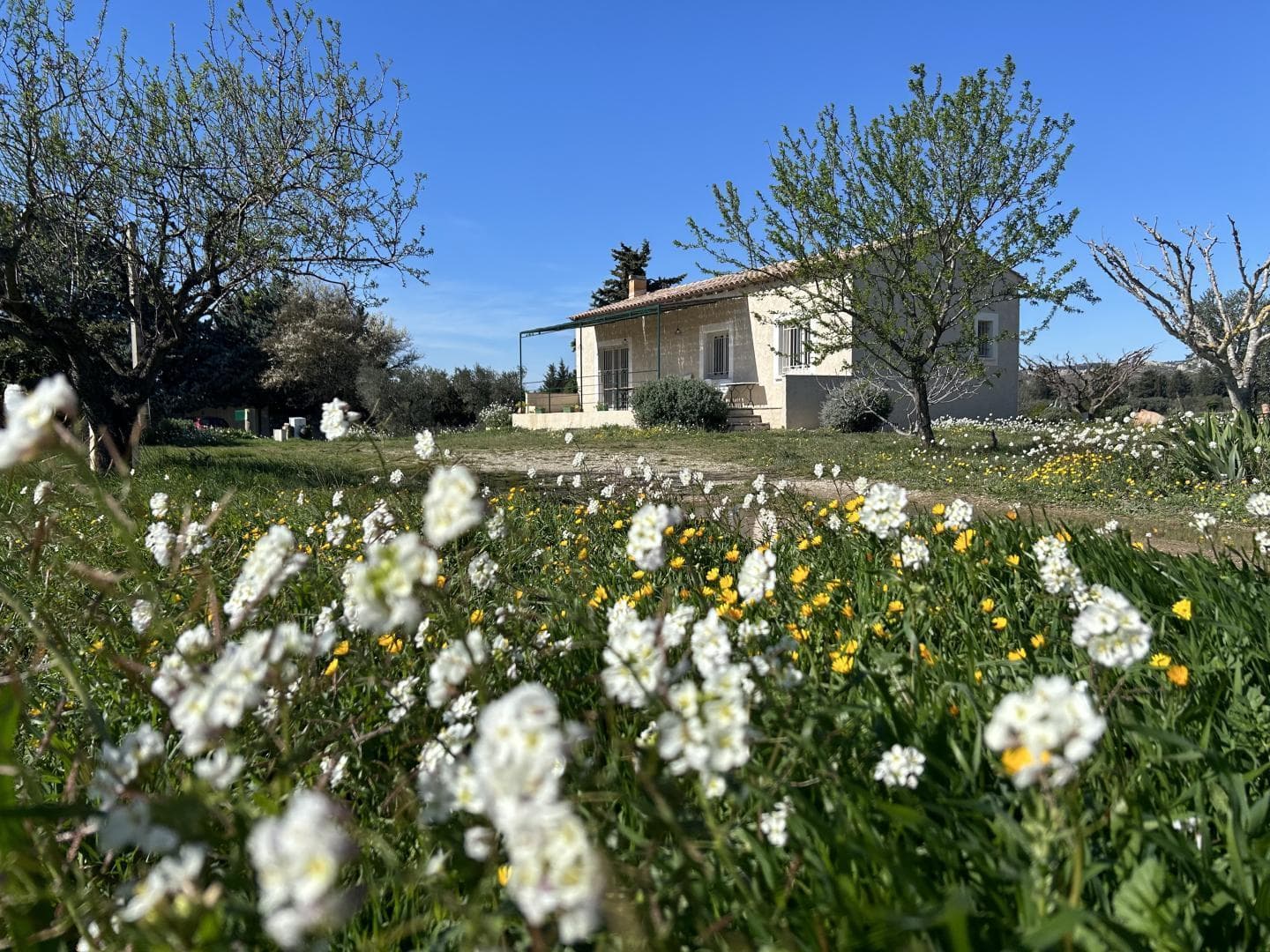 La Petite Pointe Cocagne