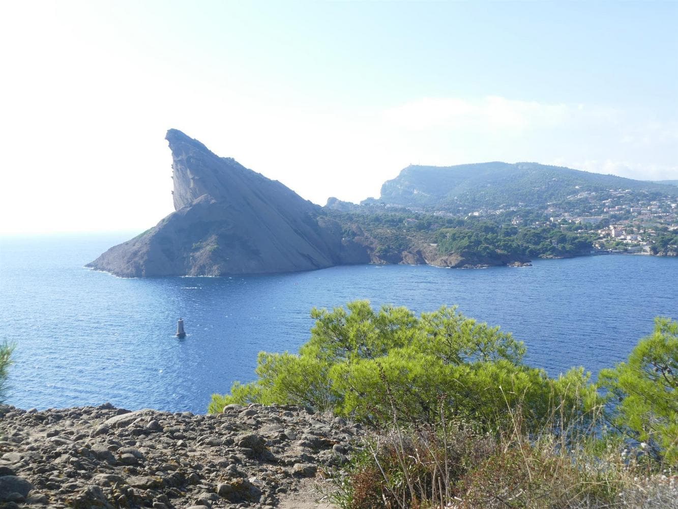 Antinea