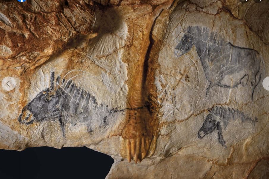 Expo musée grotte Cosquer Marseille