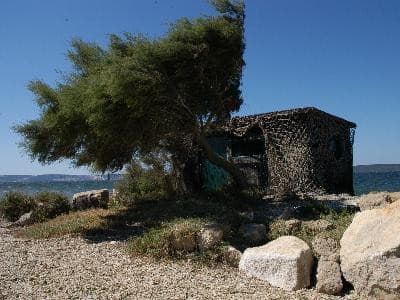 13VIS000731_1_WEB.jpg