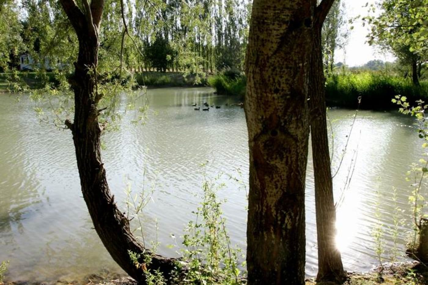 Domaine de Méjeans 6