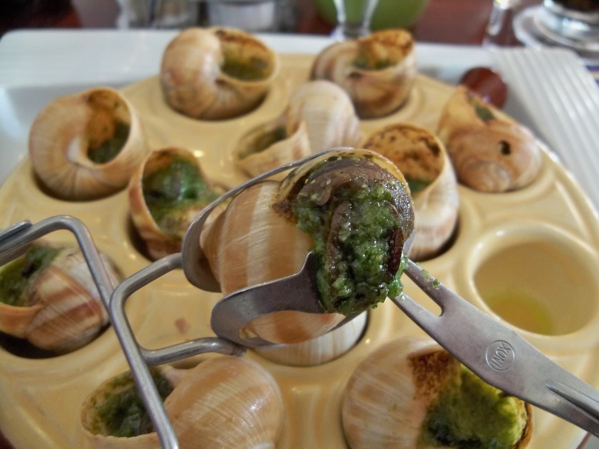 L_Escargot_des_Alpilles©Marianne_Casamance