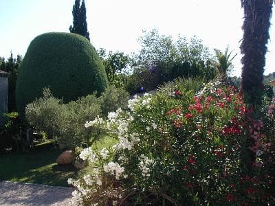 13CH000947_8_WEB.jpg