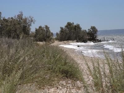 13VIS000731_2_WEB.jpg