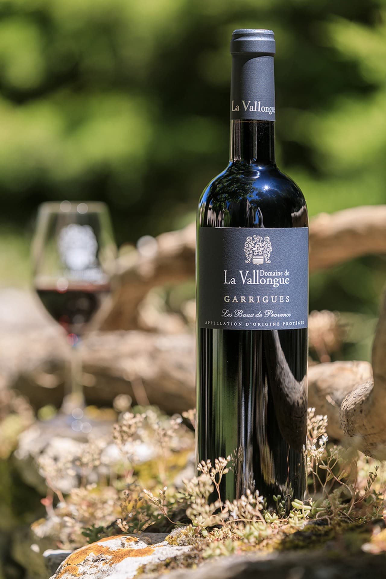 Domaine de la Vallongue Eygalières bouteille de vin