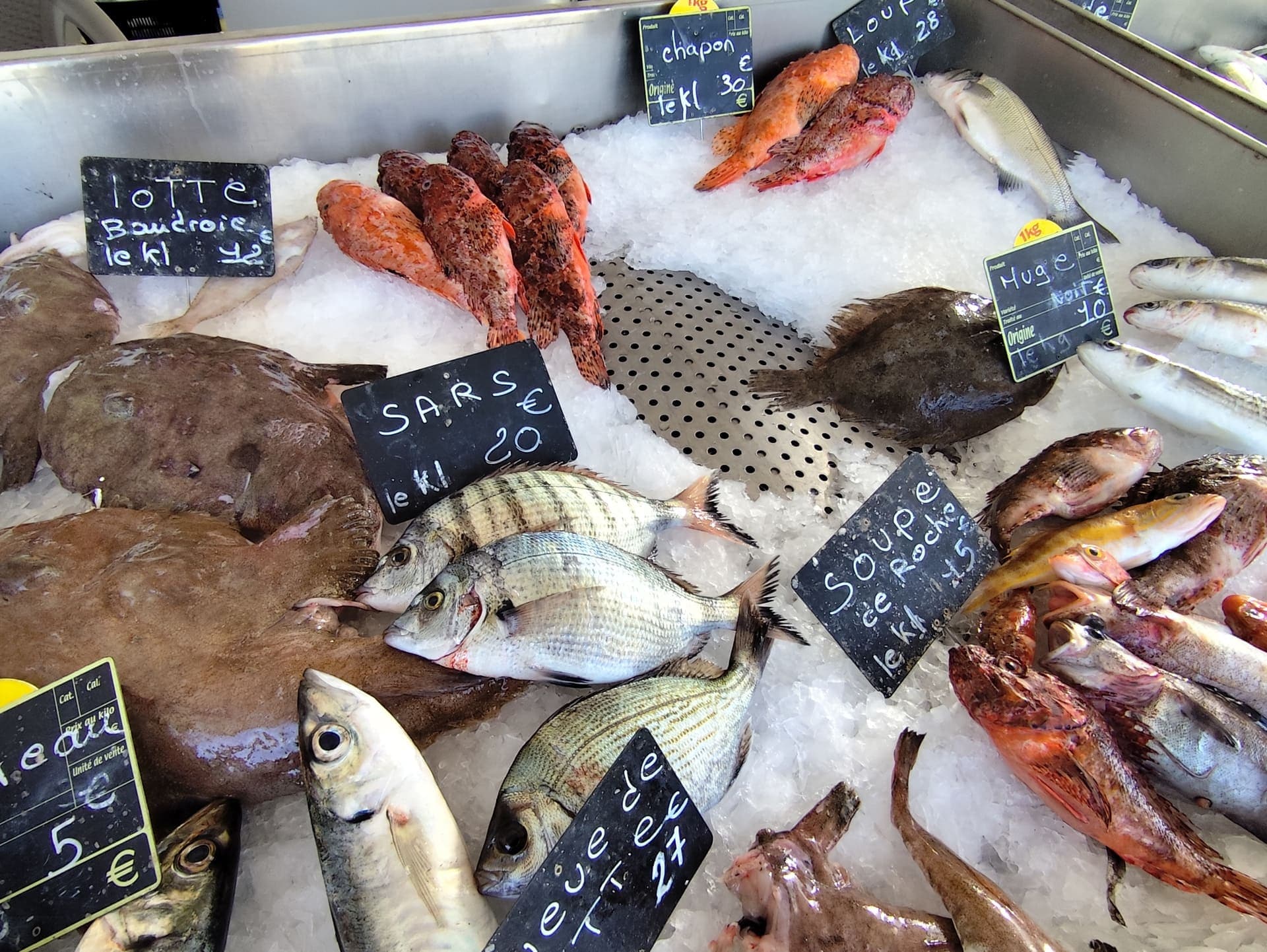 Marché aux poissons de Carro_Martigues