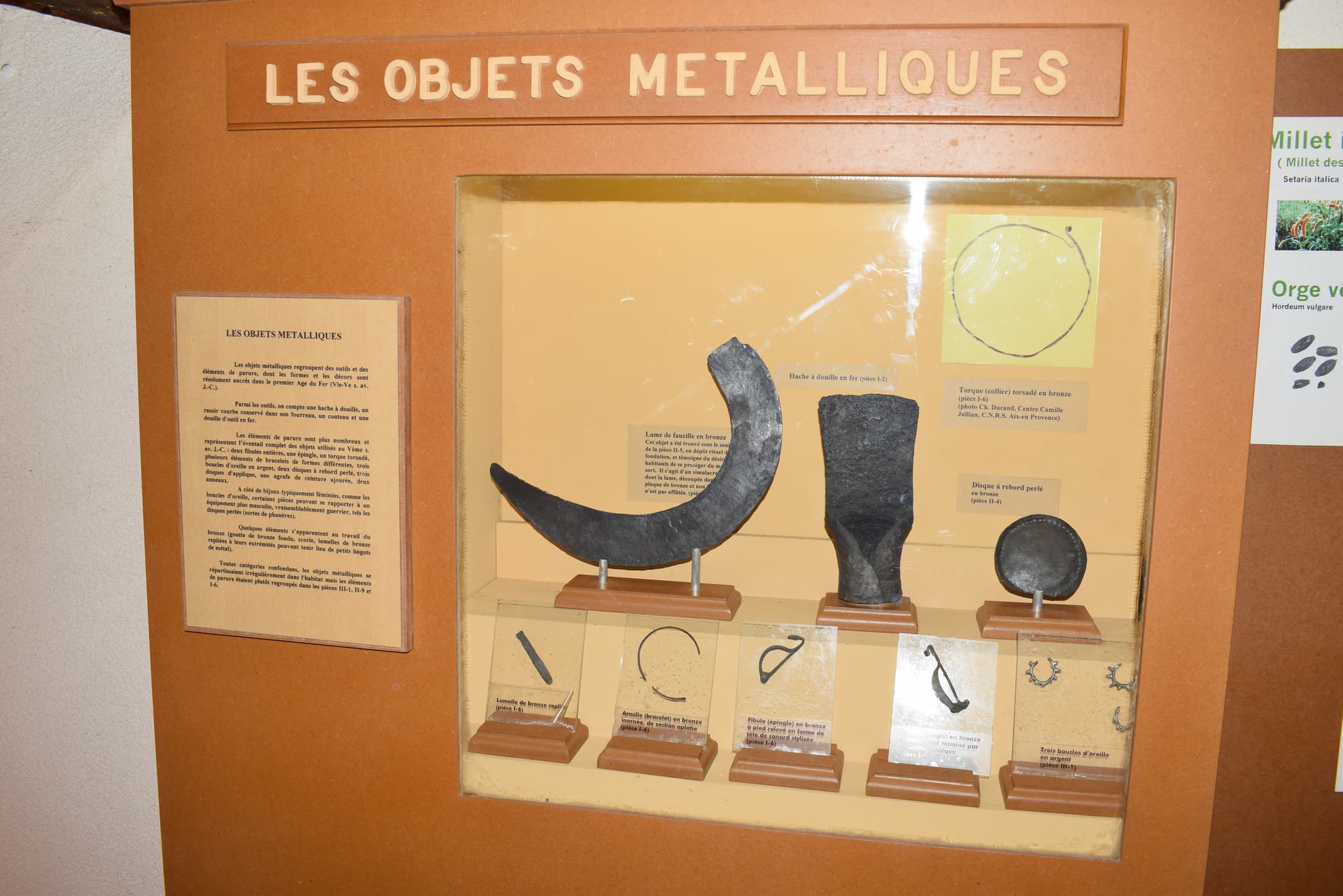 Salle d'exposition archéologique