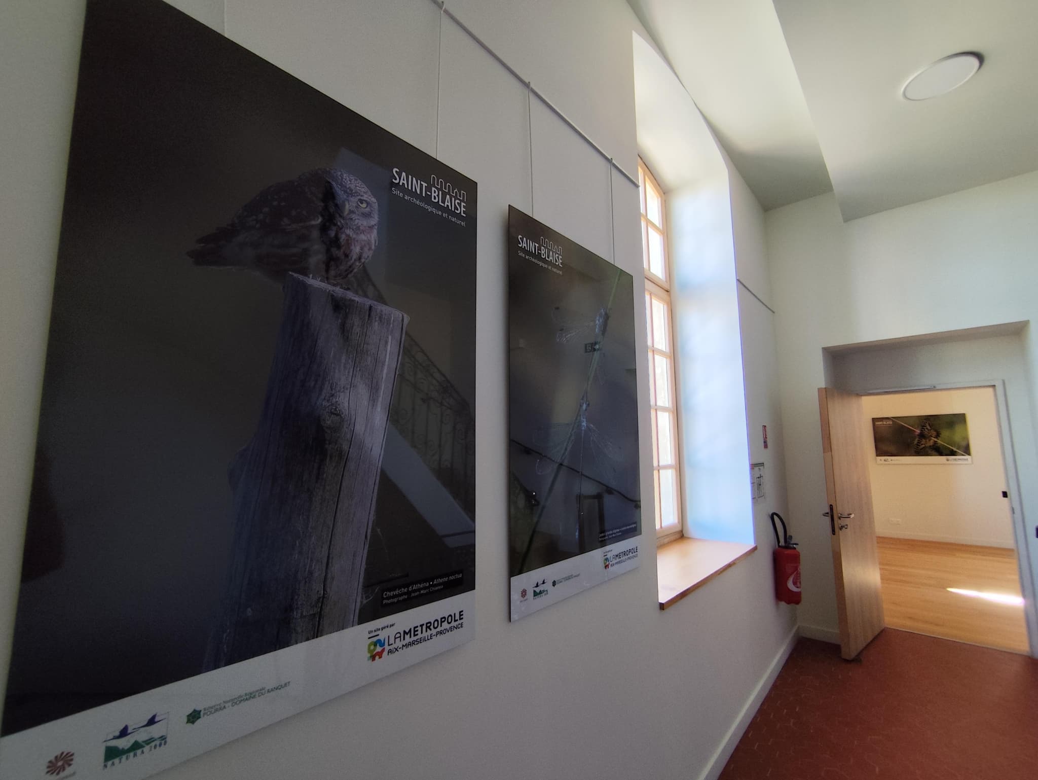 Exposition : biodiversité, regards croisés sur la faune et la flore locale_Martigues