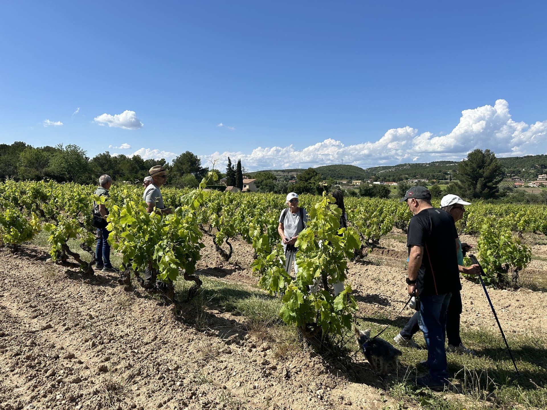 Balade vigneronne en Provence_Martigues