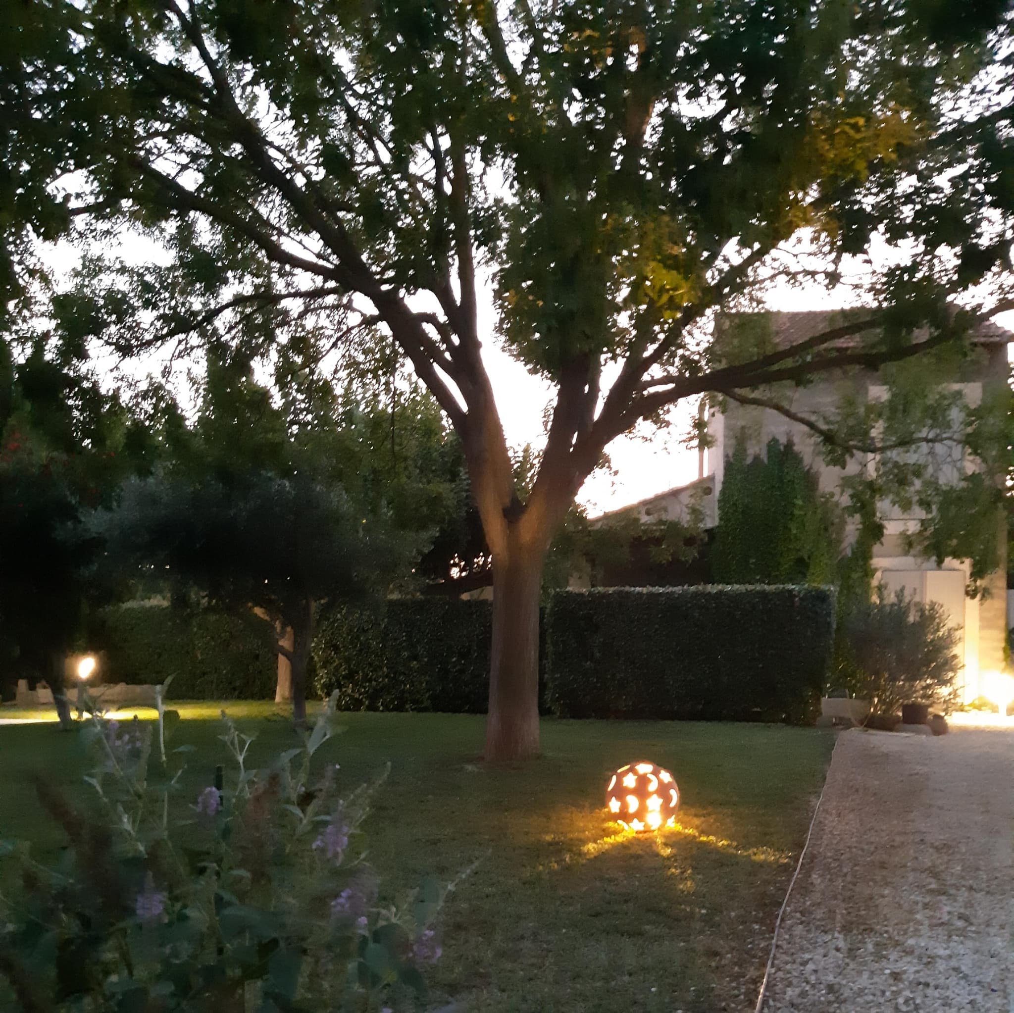 Mazet des Pins