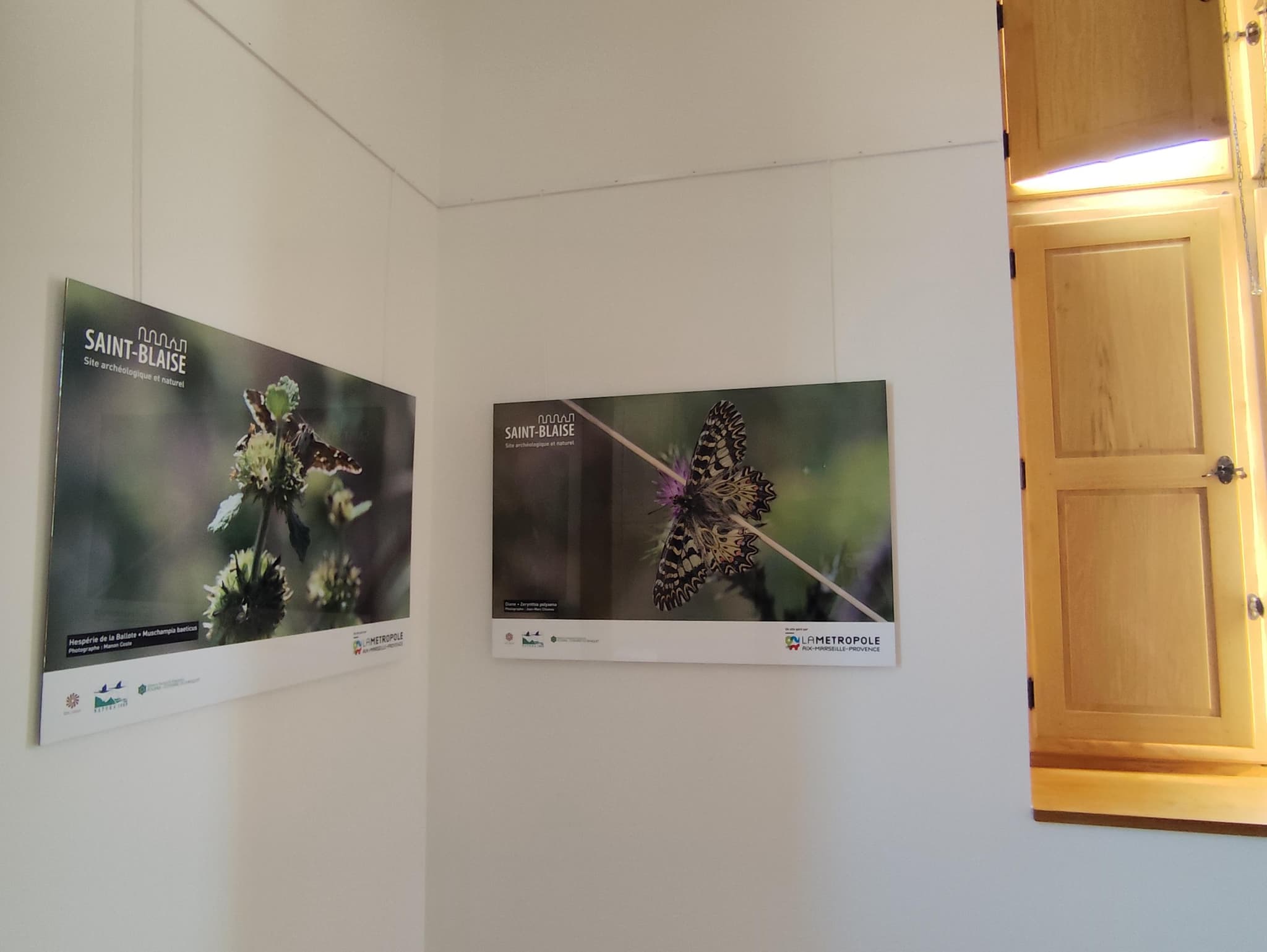 Exposition : biodiversité, regards croisés sur la faune et la flore locale_Martigues