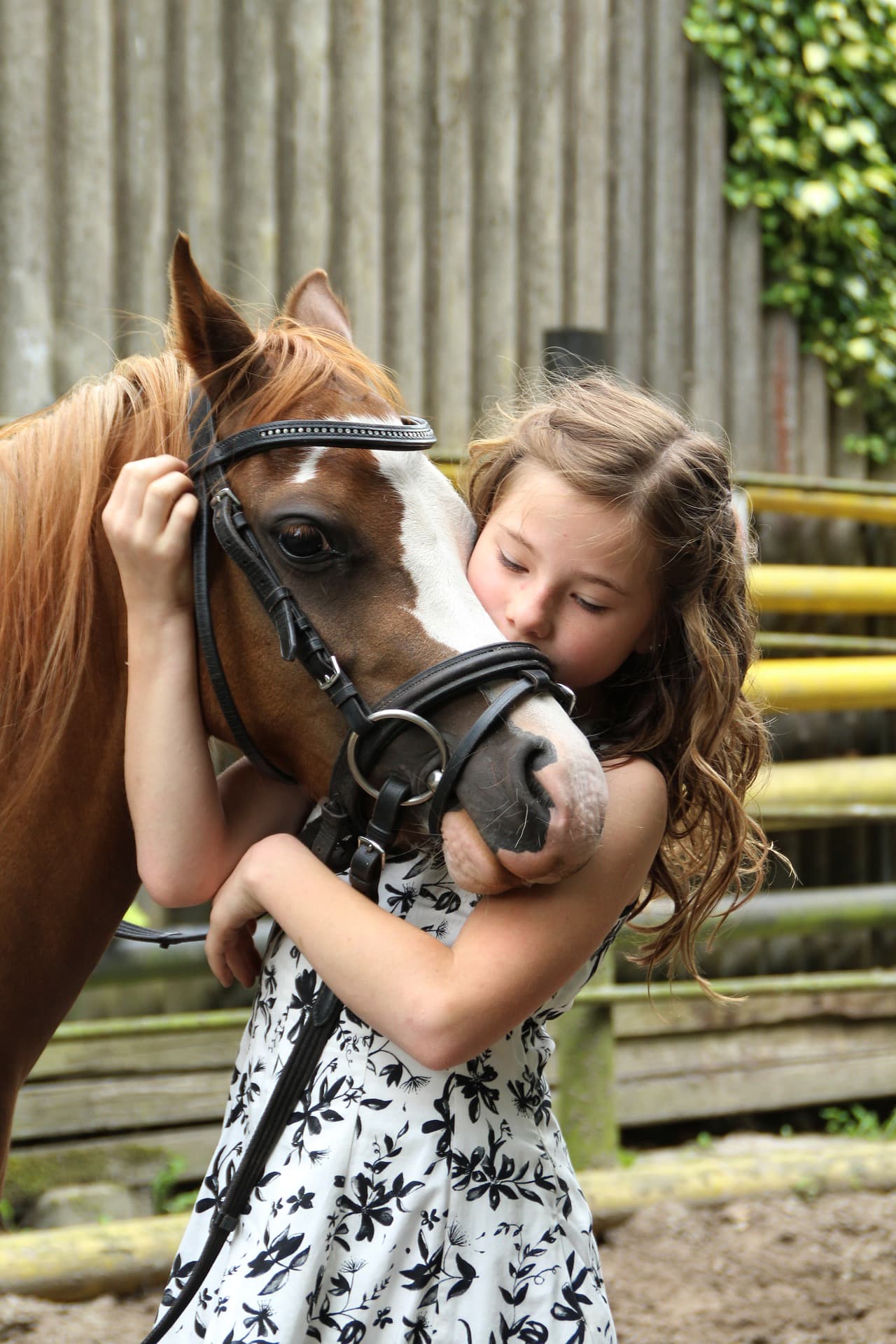 Balade à cheval