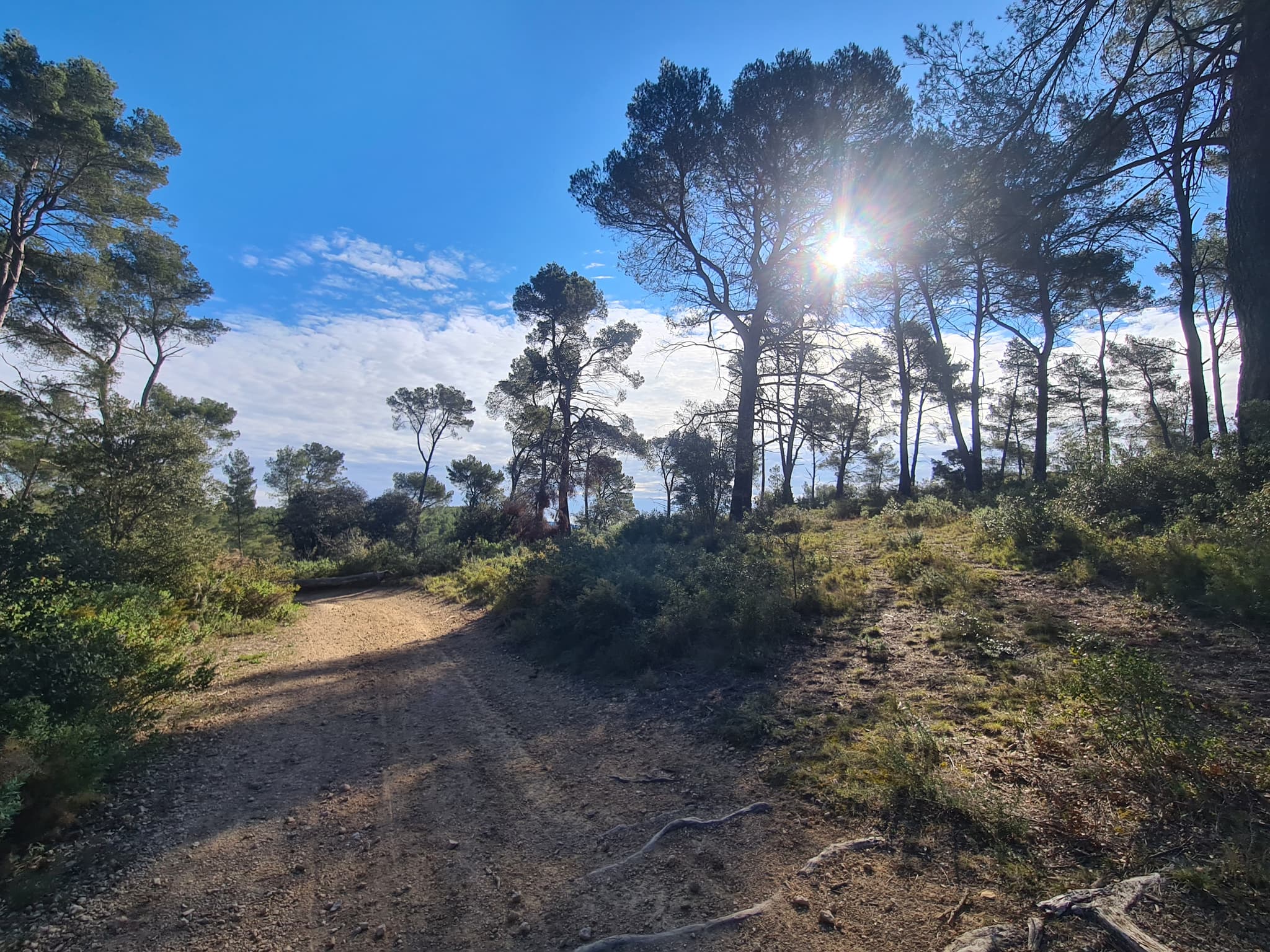 Sentier du Mur de Gueidan_Gardanne