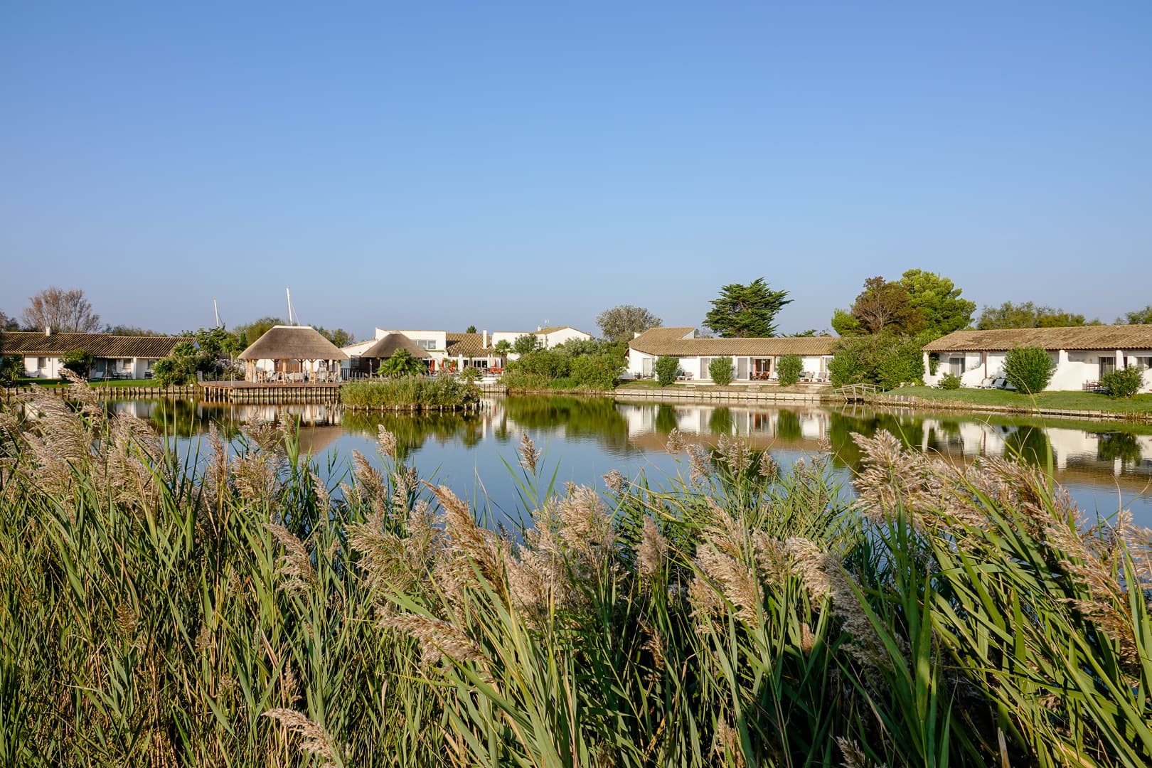 L'Estelle en Camargue