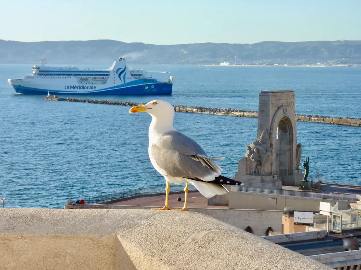 Location saisonniere Au coeur du Vallon des Auffes