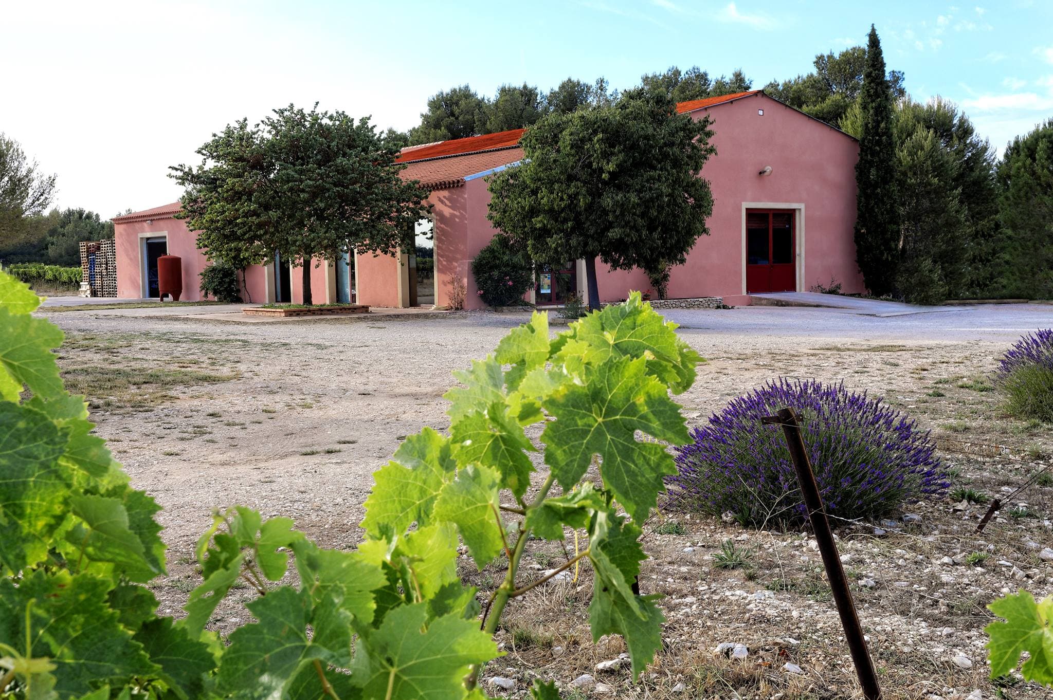 Domaine Camaïssette
