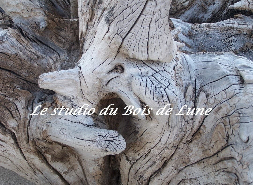 Le studio du Bois de Lune