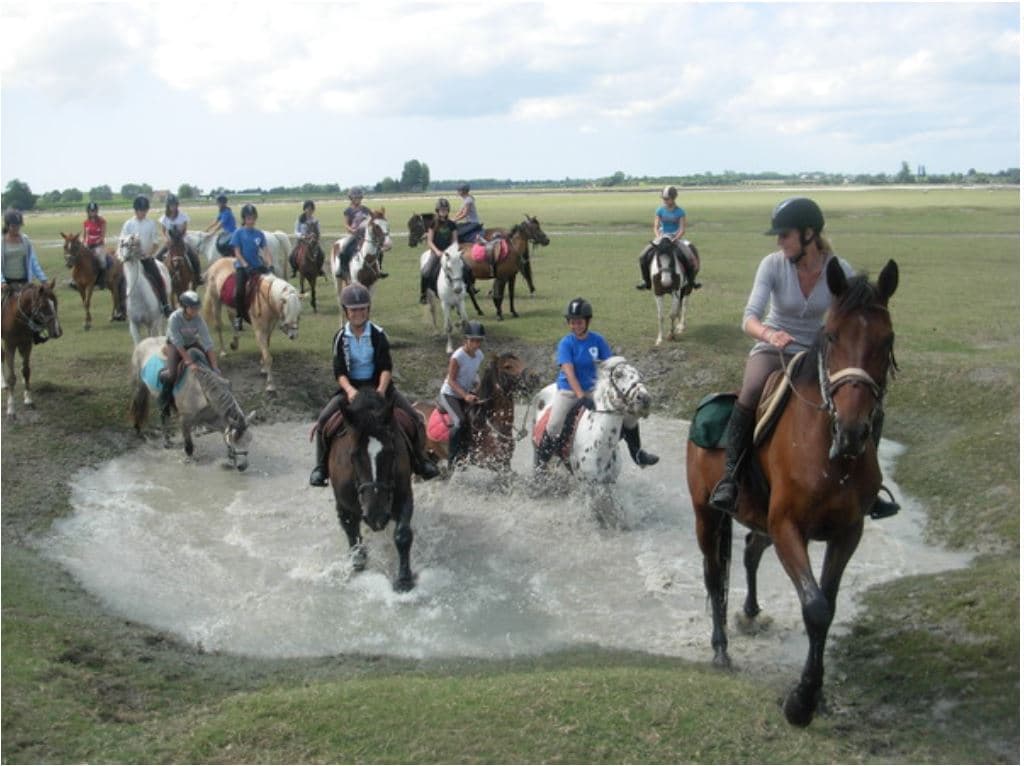 Association du Poney Club Marseille
