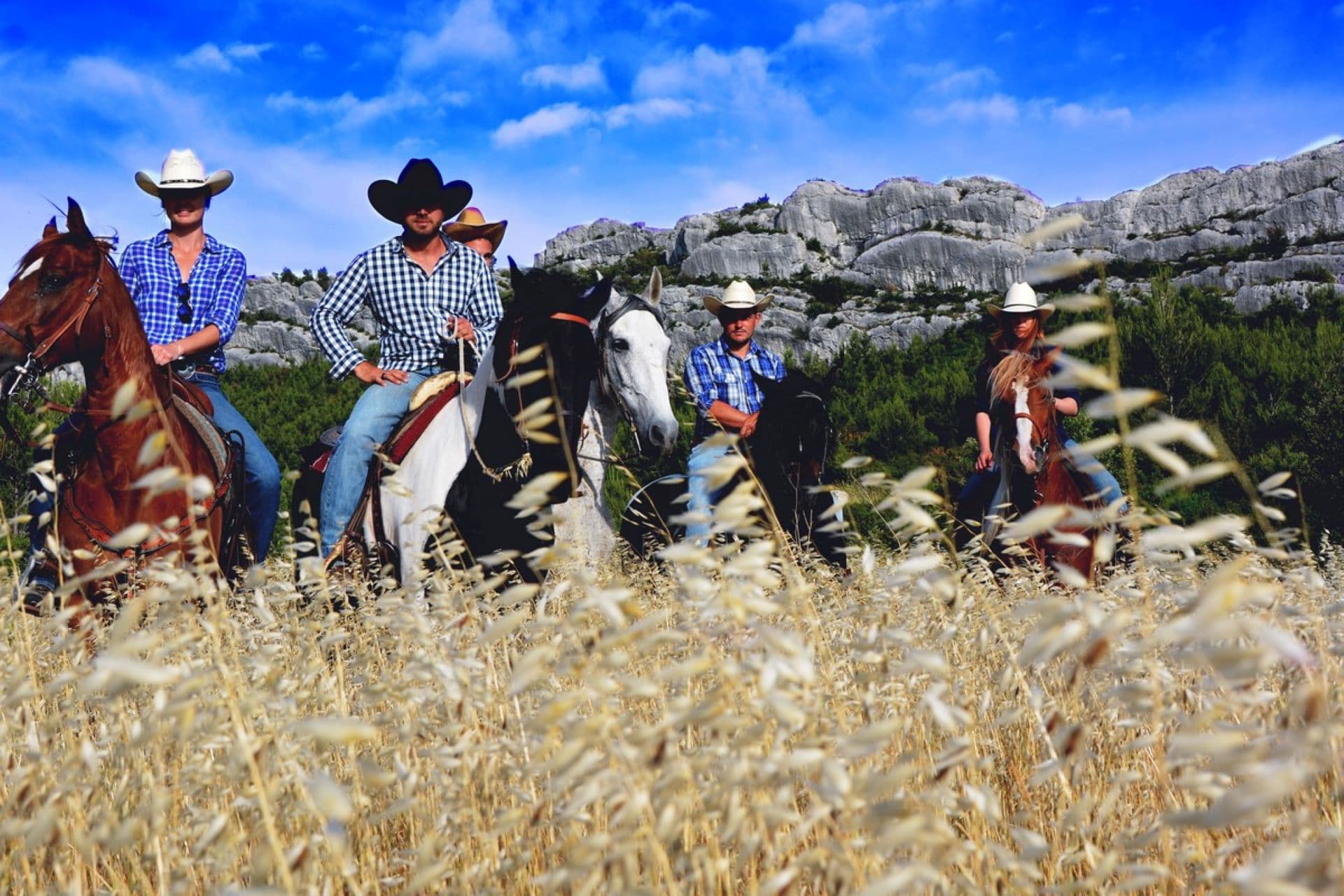 Balades à cheval Alpilles