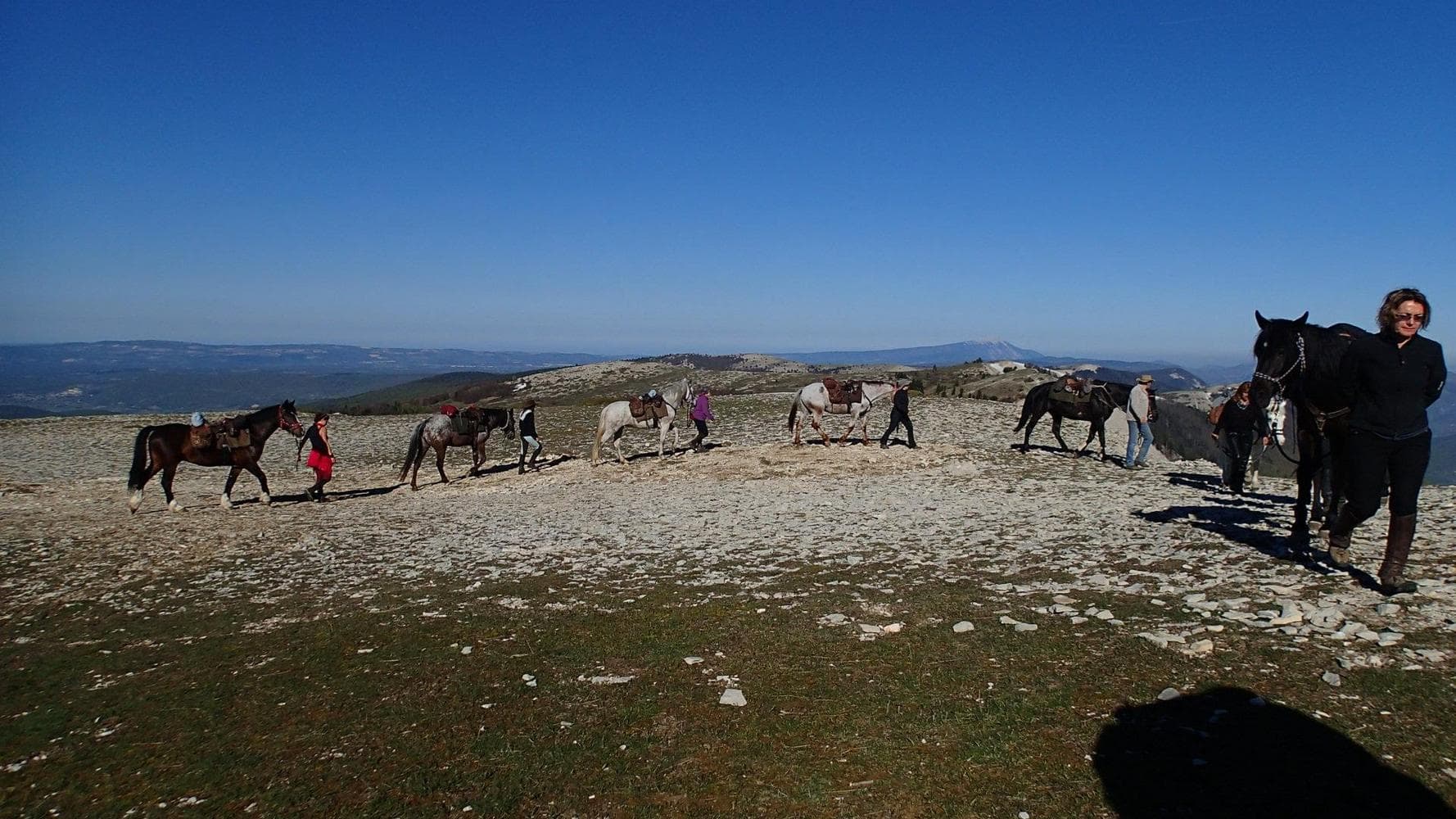 La Provence à cheval