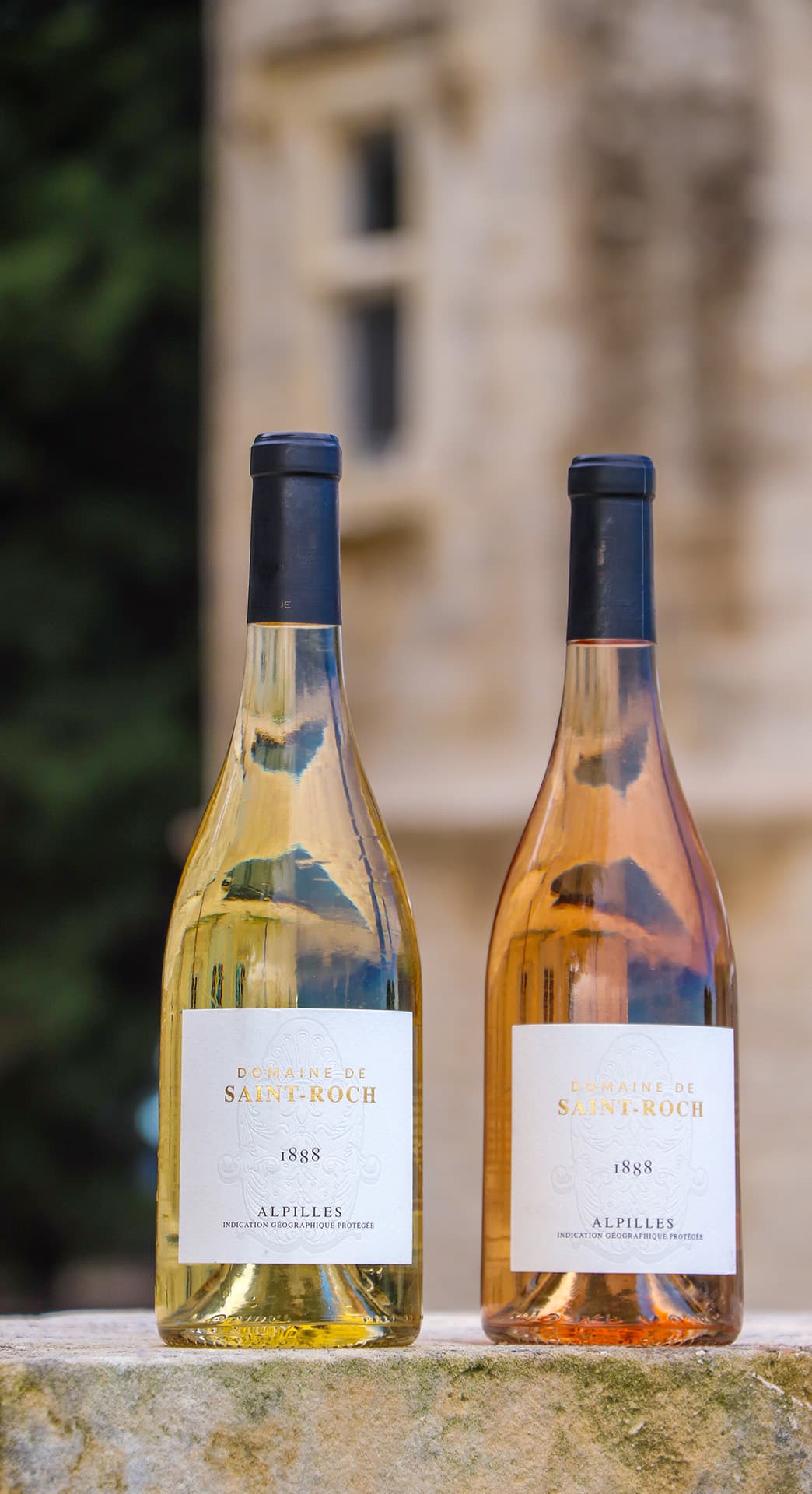 Domaine du Grand Mas de Lansac_Tarascon