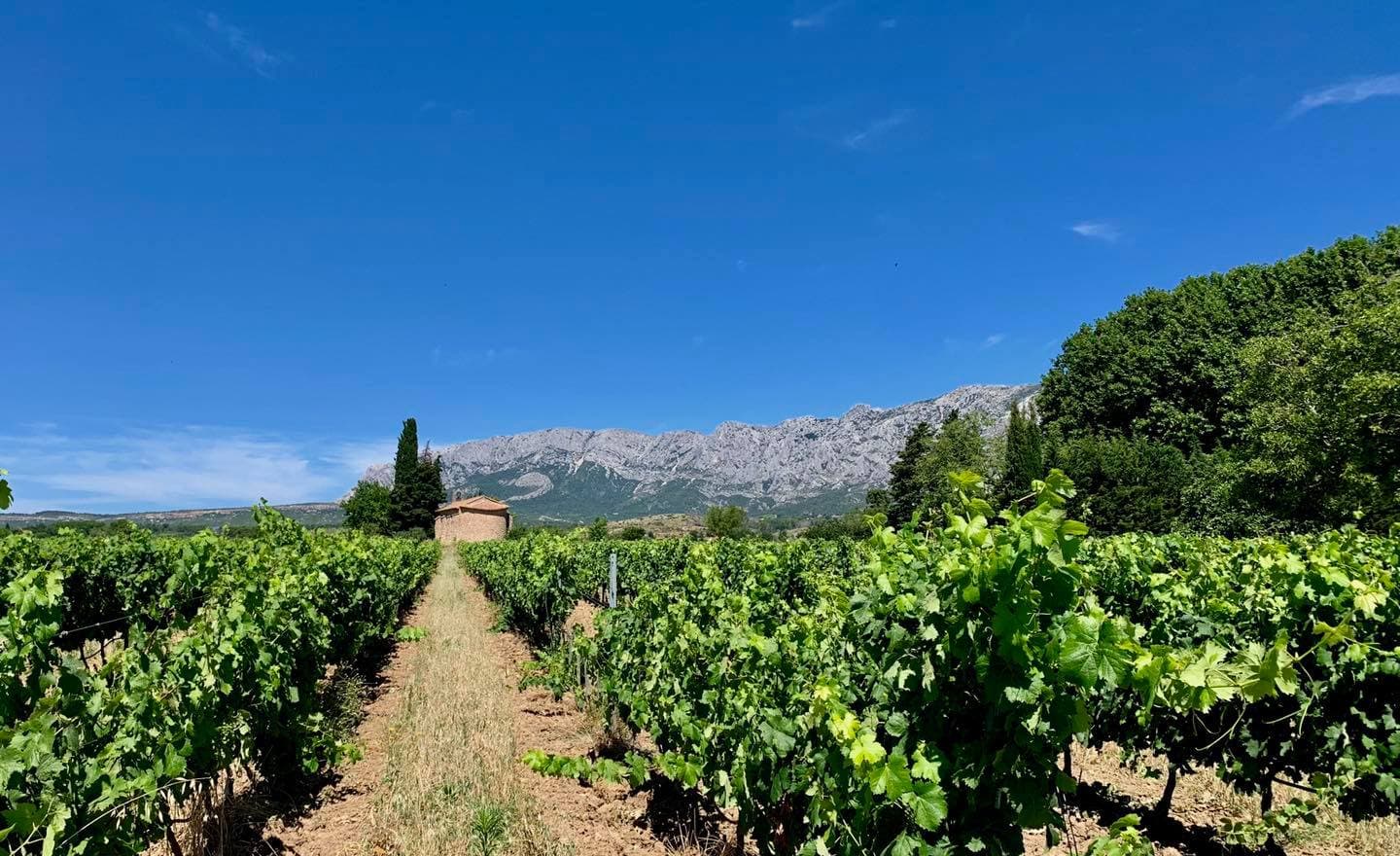 Domaine Saint Pancrace