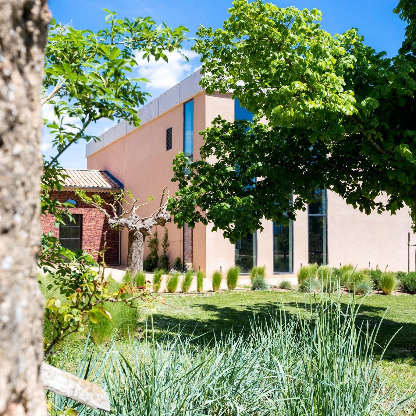 Domaine Saint Pancrace