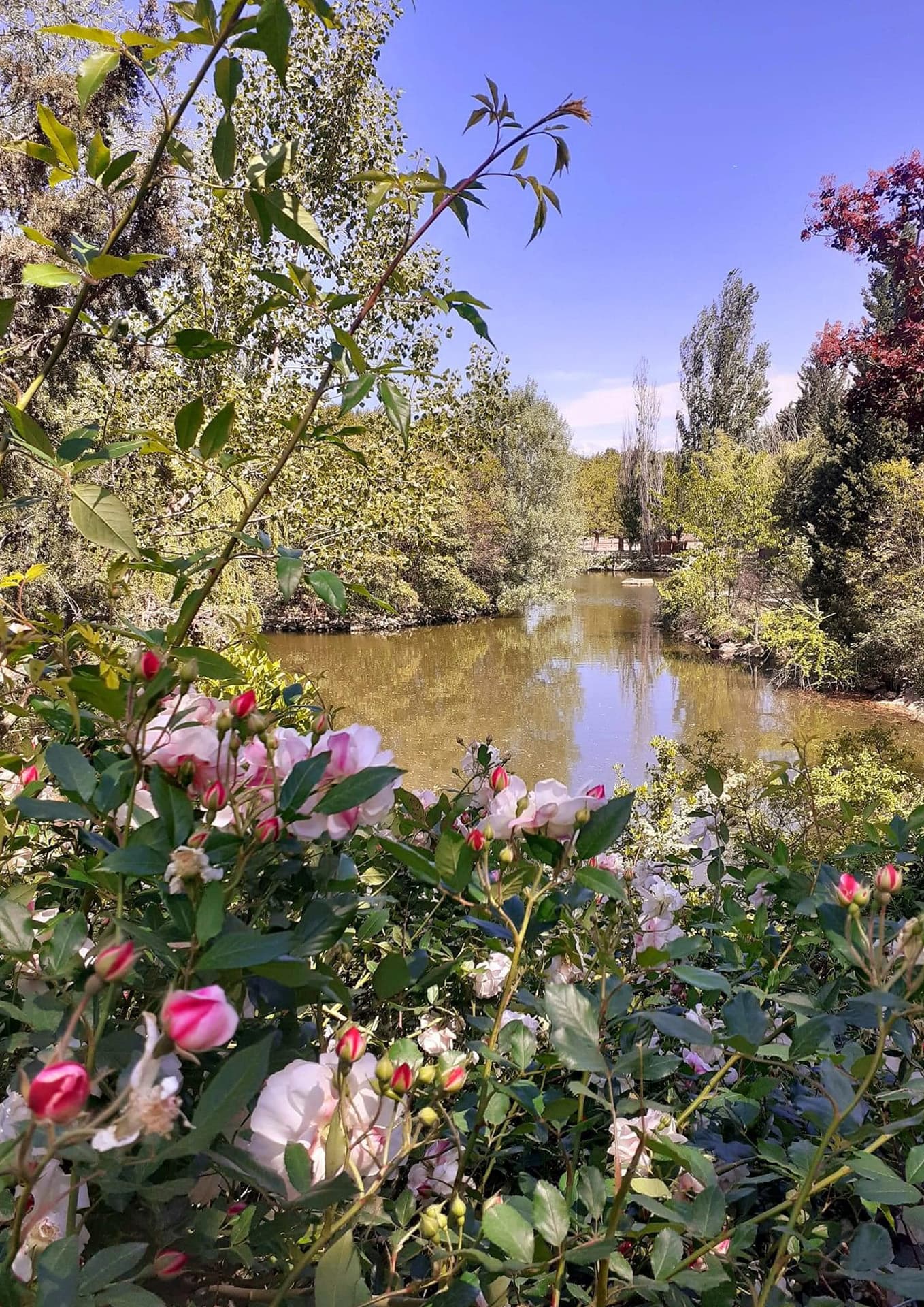 Parc Animalier - L'Arche de Méo_Mollégès