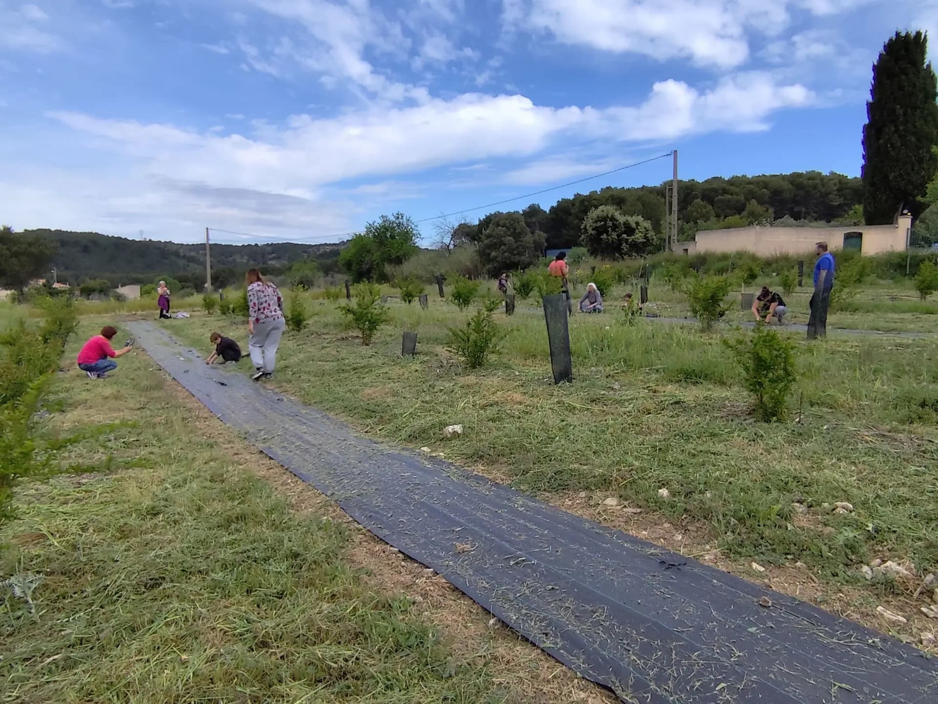 Côté grenades_Martigues
