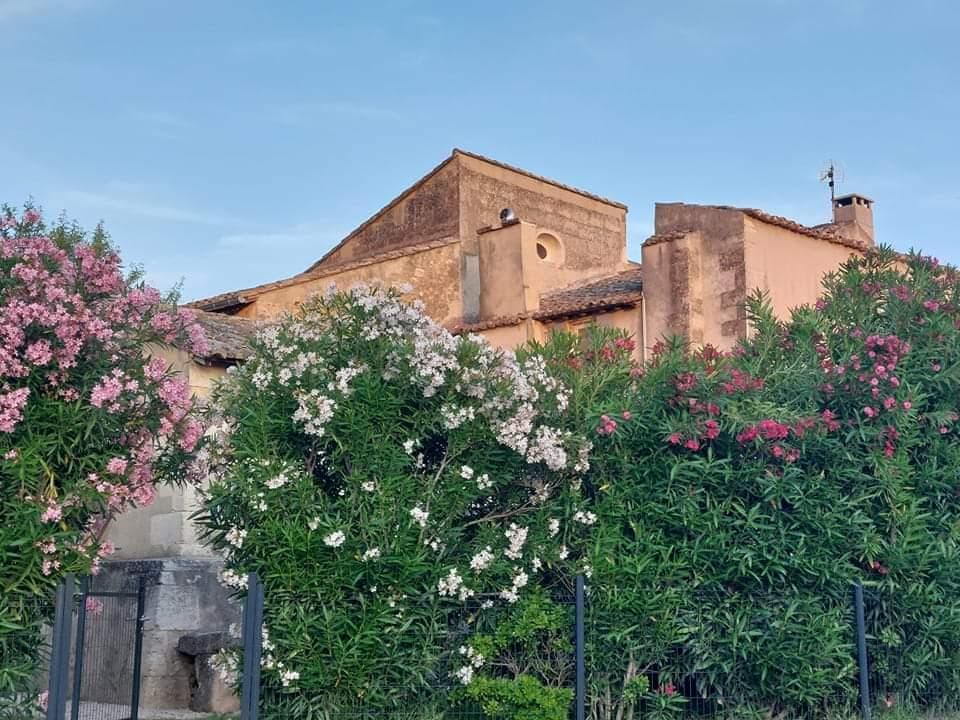 L'Ouliveto