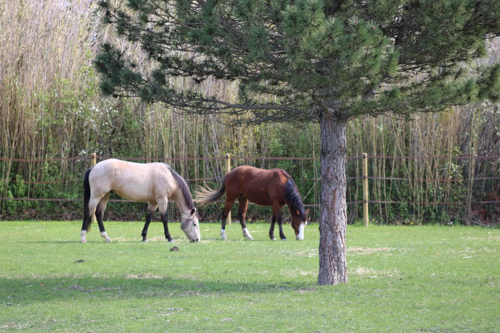 Le Mas des Fontaines