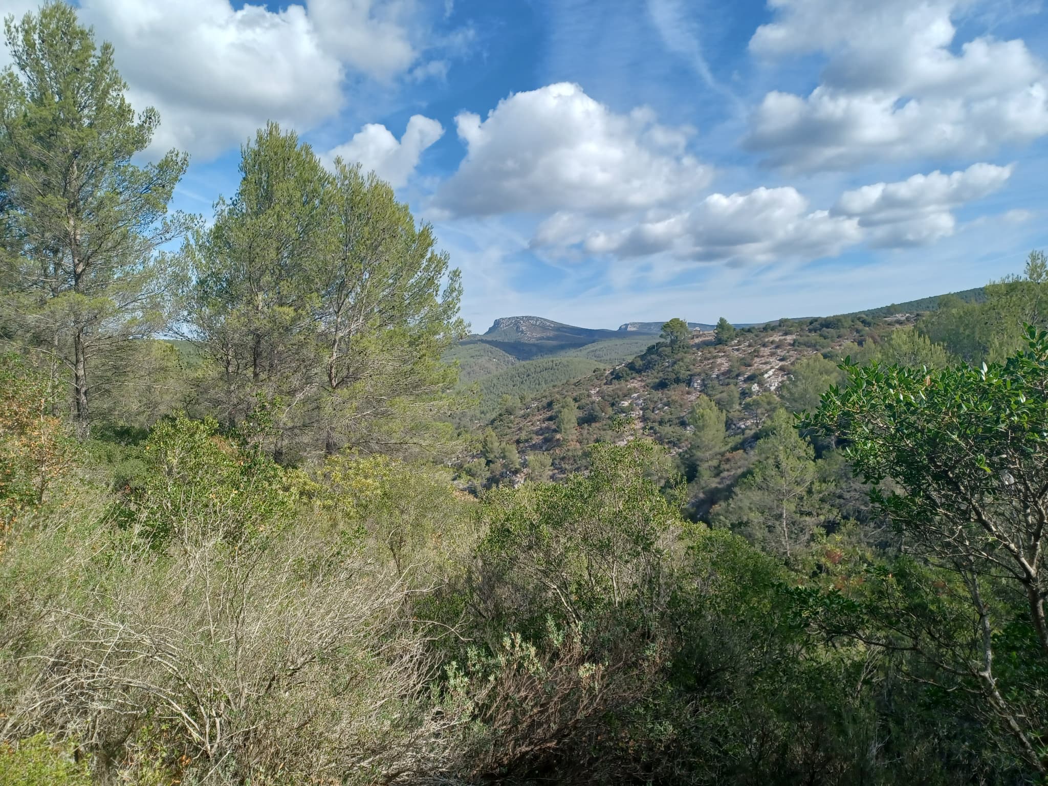 La crête de la Sainte-Baume