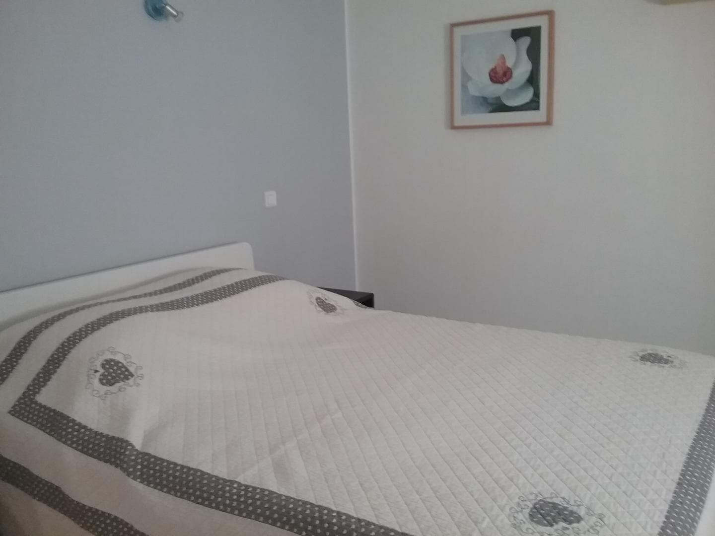 Au coeur des Alpilles