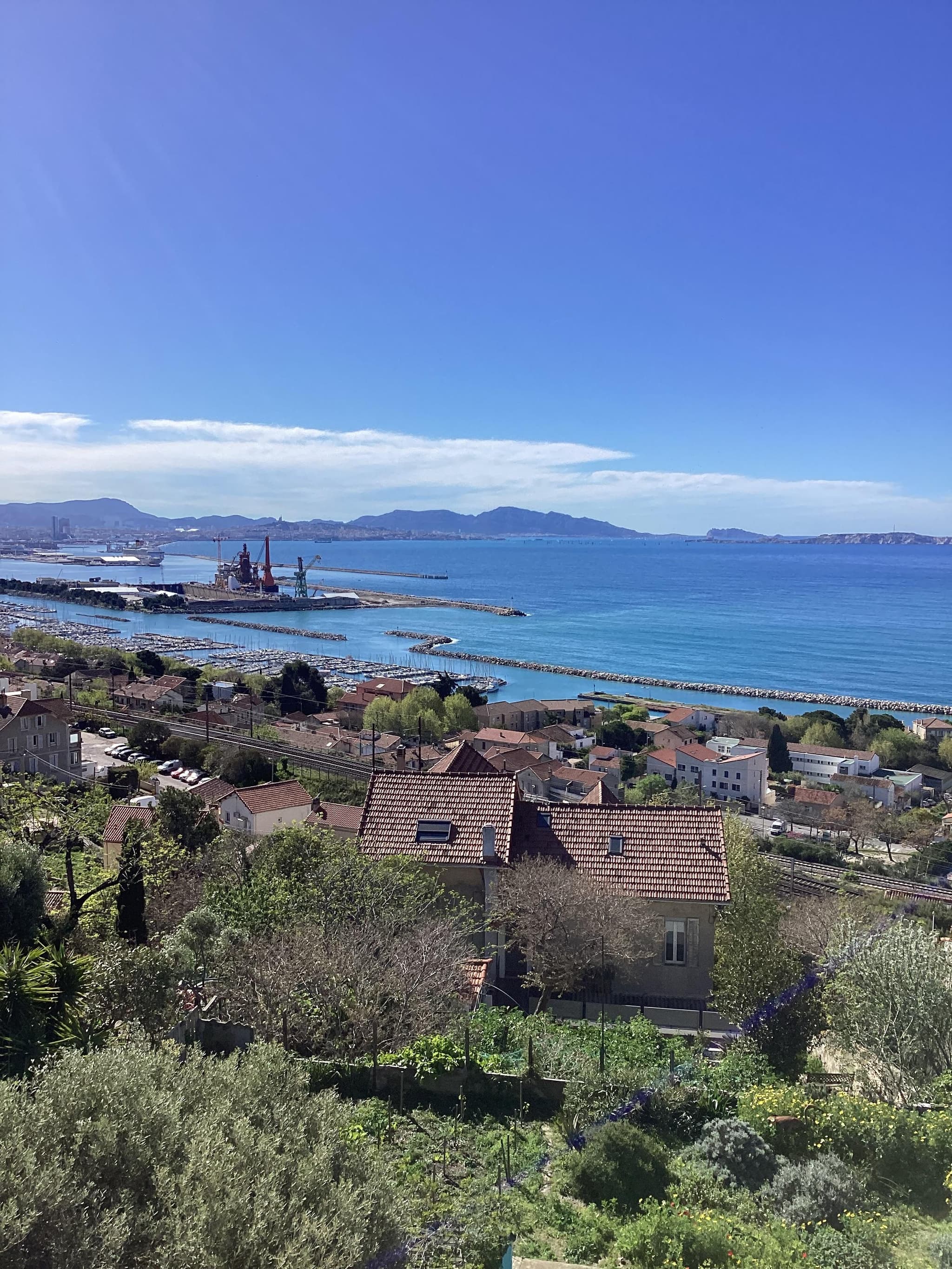 IMG_0966.jpeg