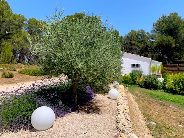 Le jardin