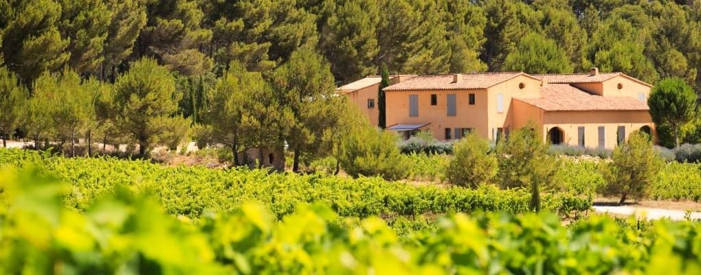 Villa Minna Vineyard