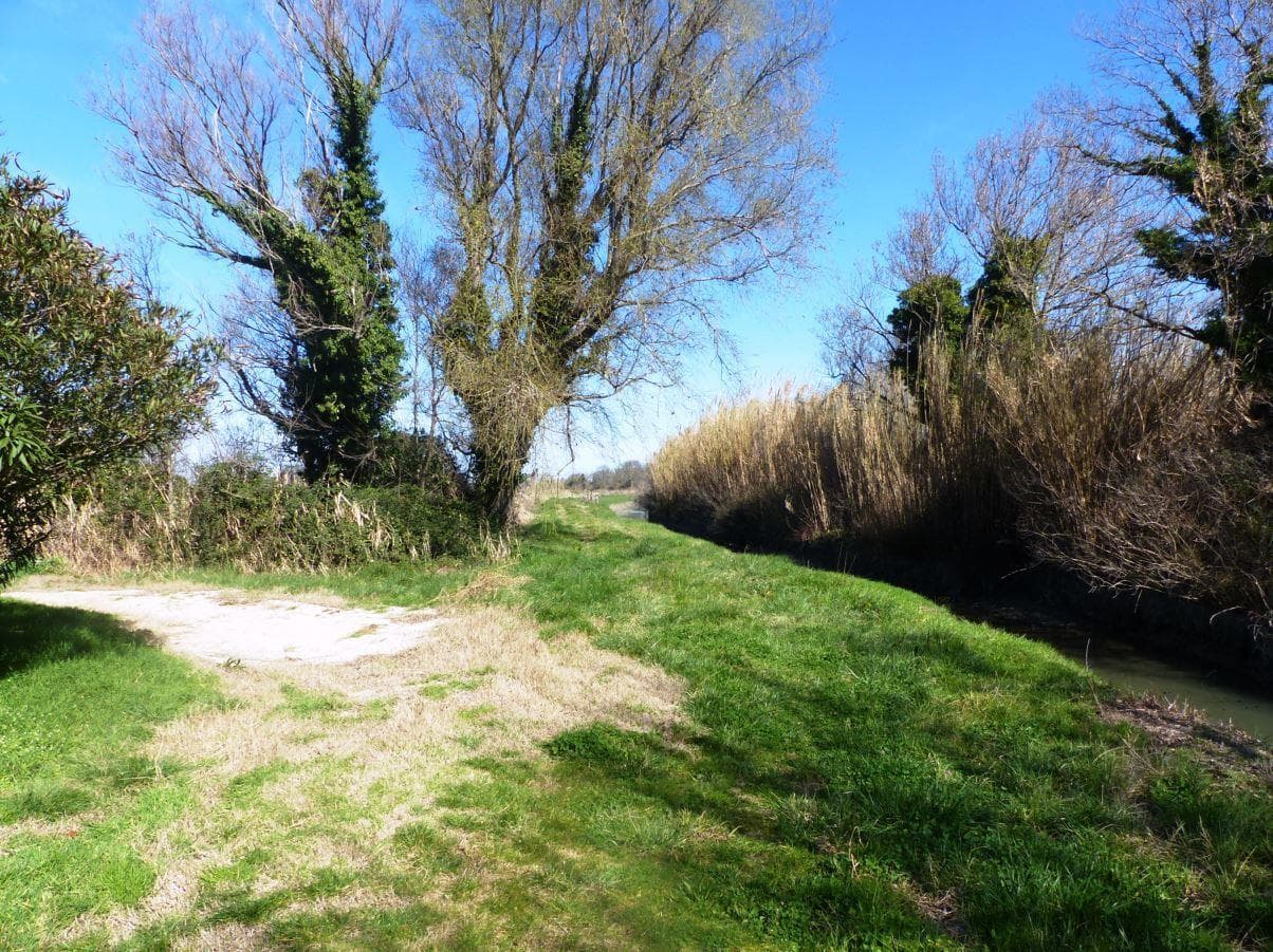 Grenouillet