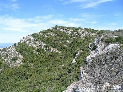 13VIS000398_2_WEB.jpg