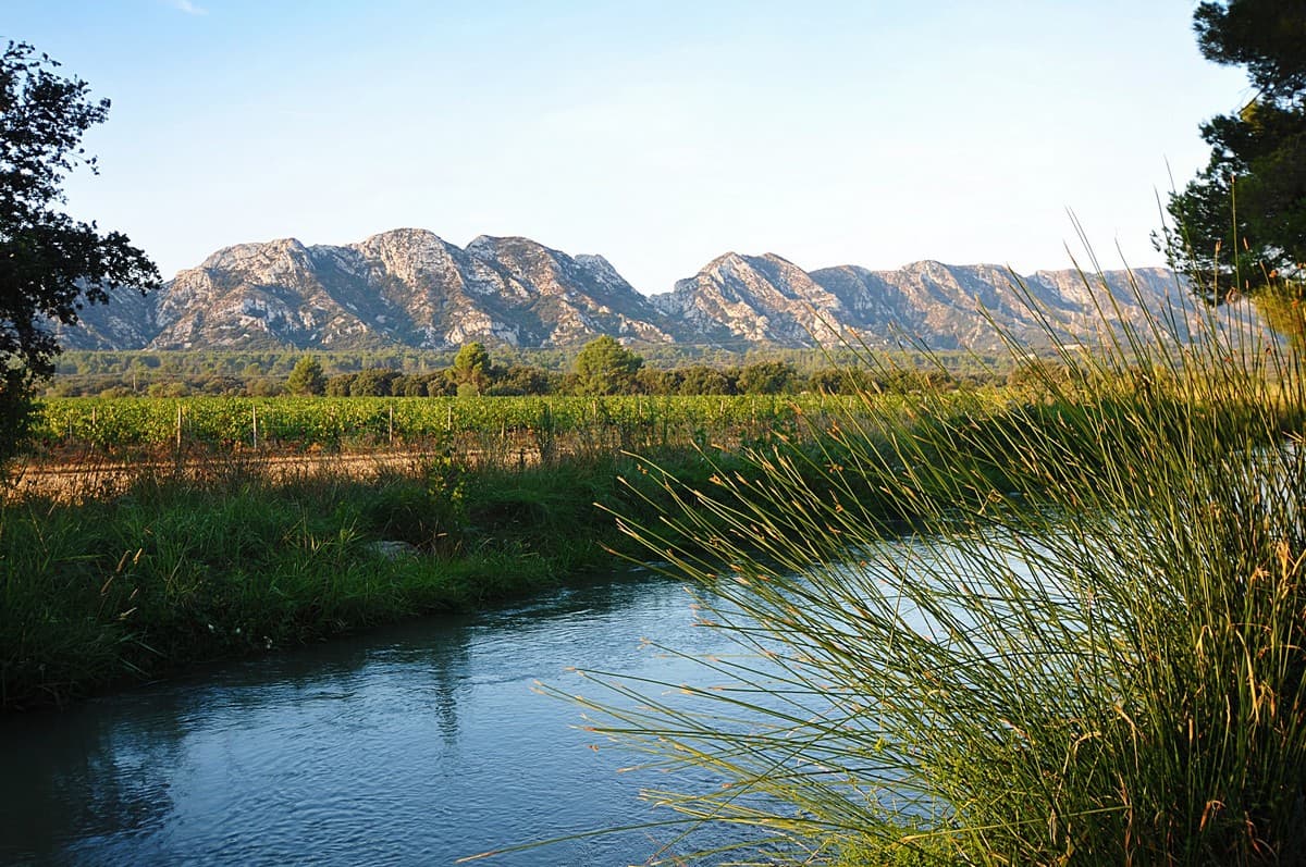 Domaine des Terres Blanches