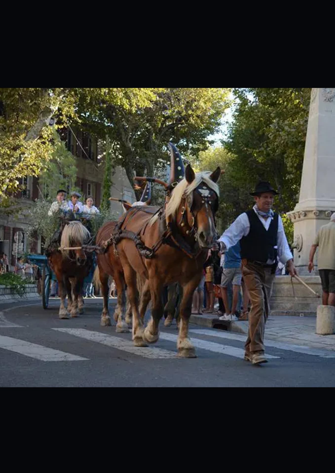 Revivre des Fêtes Votives_Saint-Rémy-de-Provence