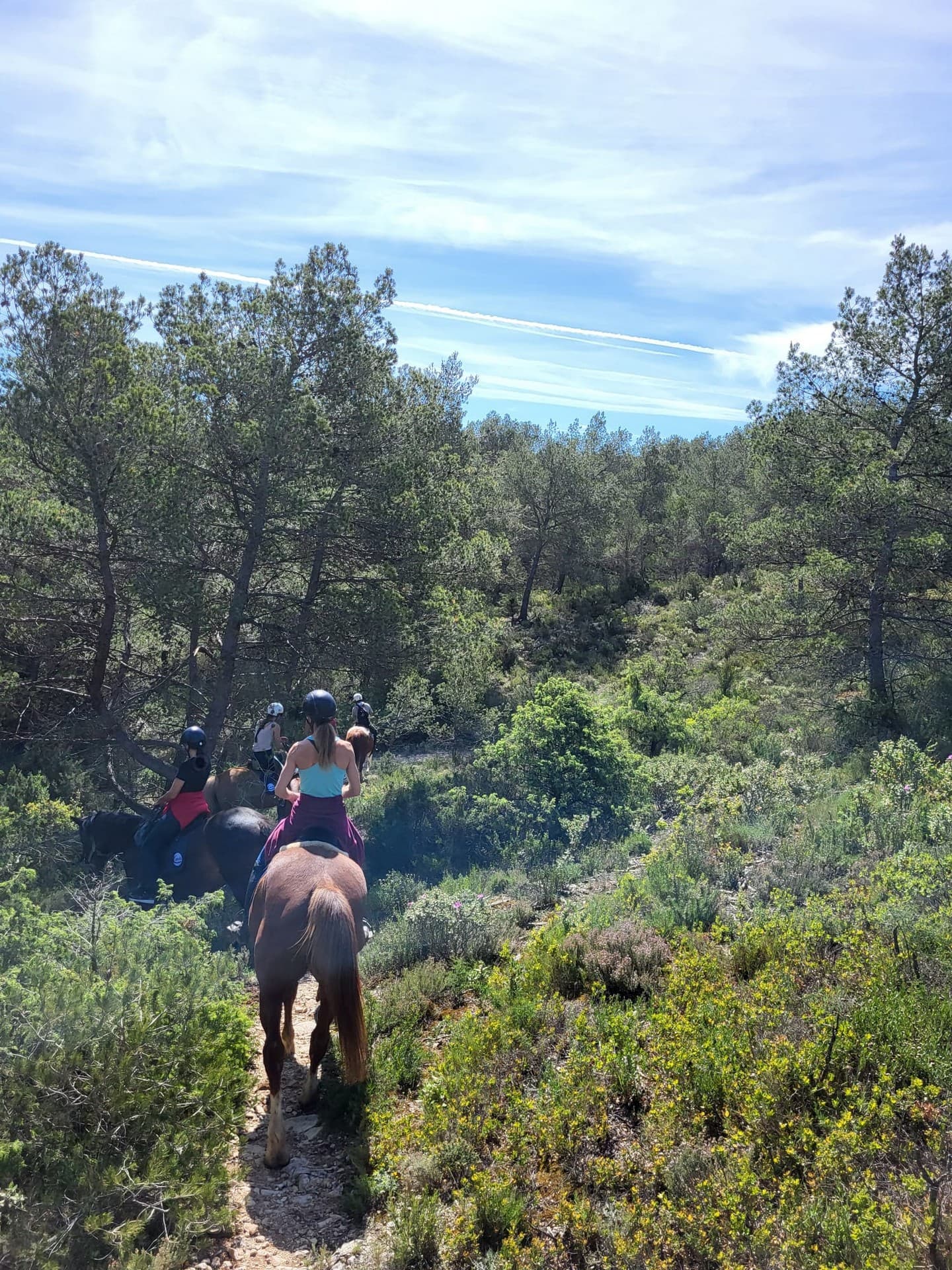 Chev'Alpilles - Balade à cheval à Saint-Rémy-de-Provence