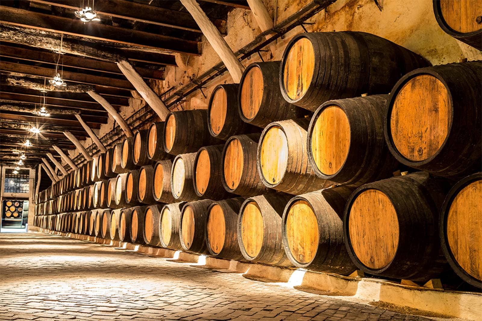Cave Terroir & Tradition