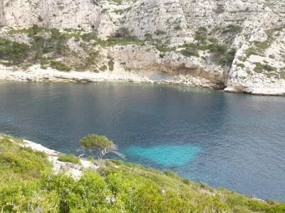 Calanque de Morgiou.jpg