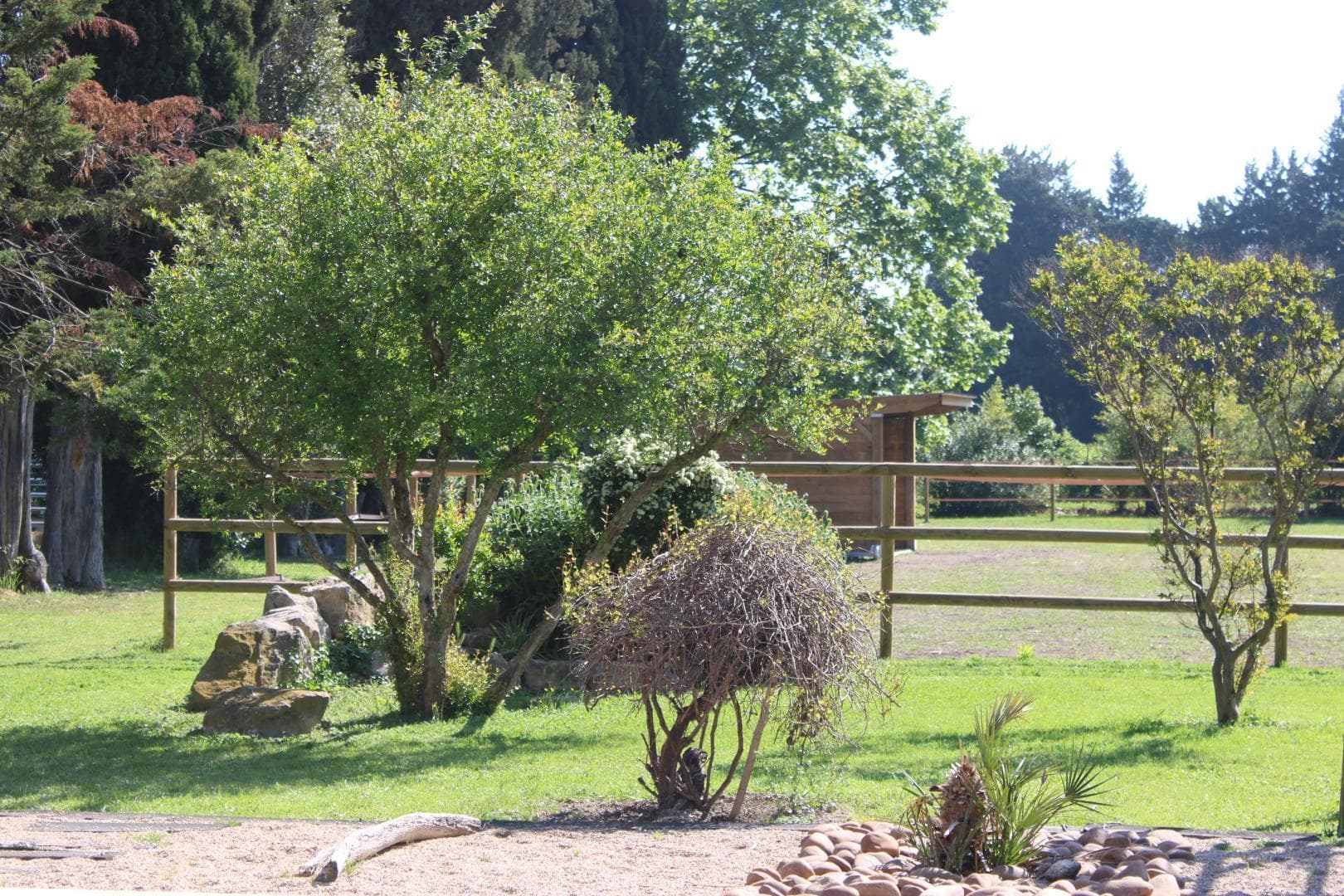 Le Mas des Fontaines