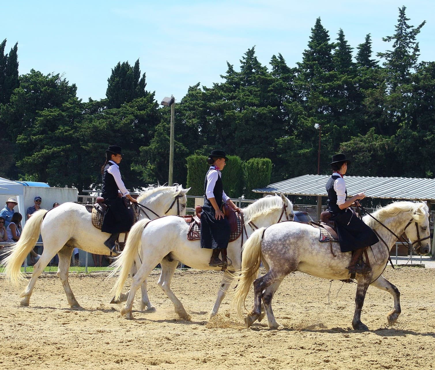 Les Ecuries du Petit Claux