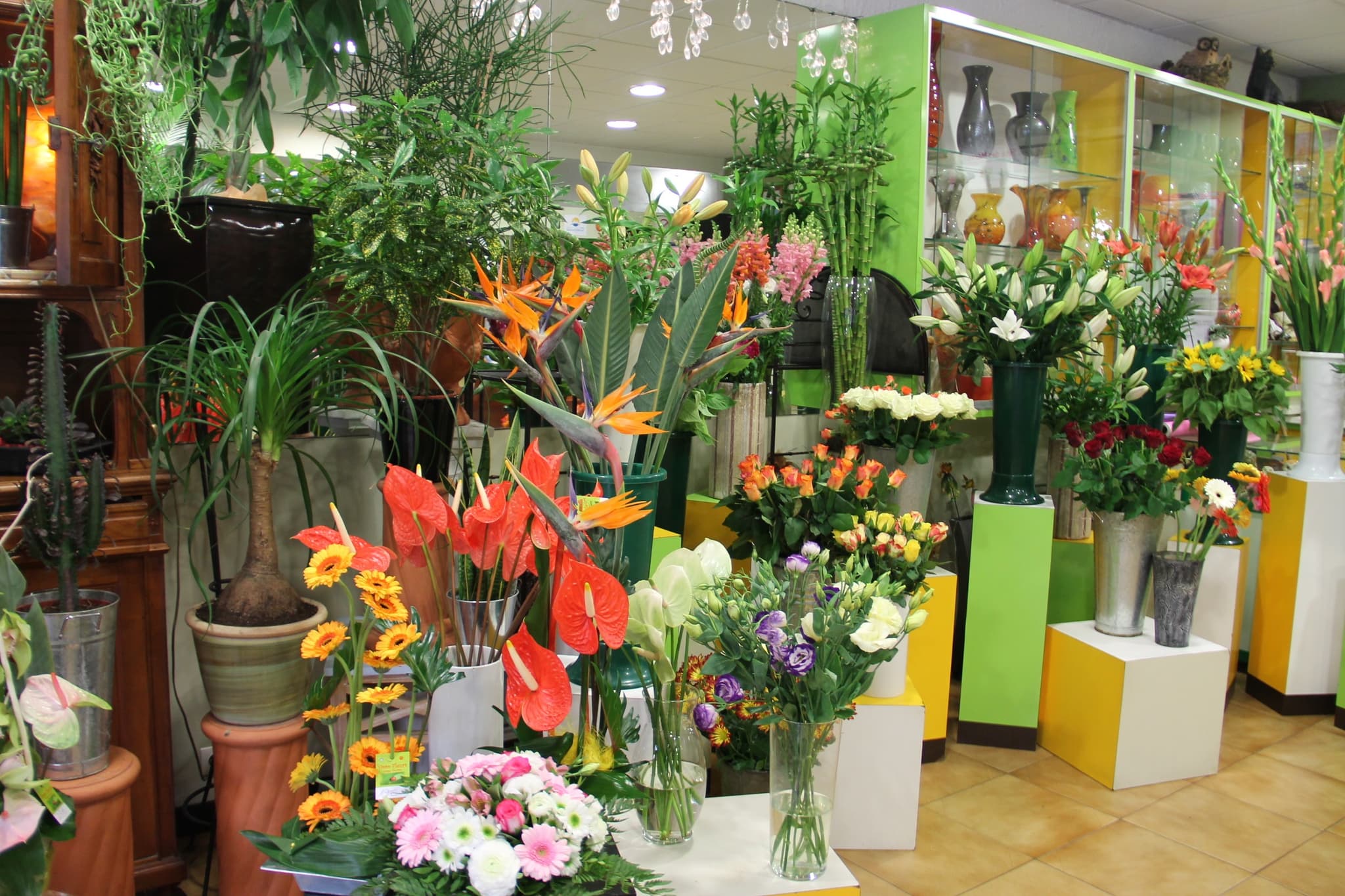 Vovo Fleurs