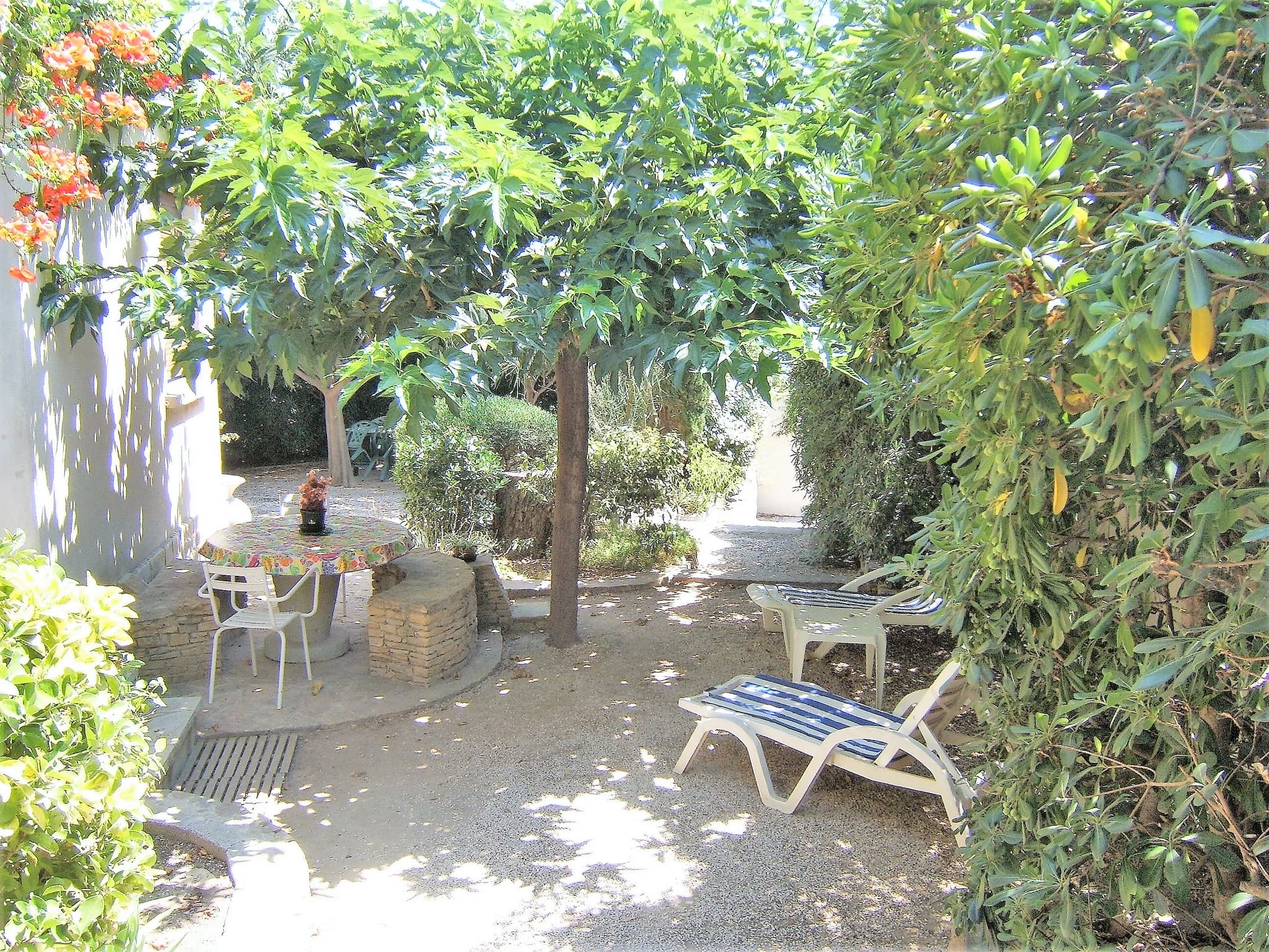 Jardin