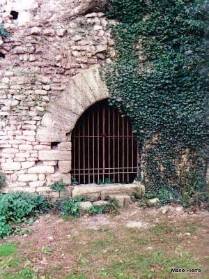 13T2001324_1_WEB.jpg