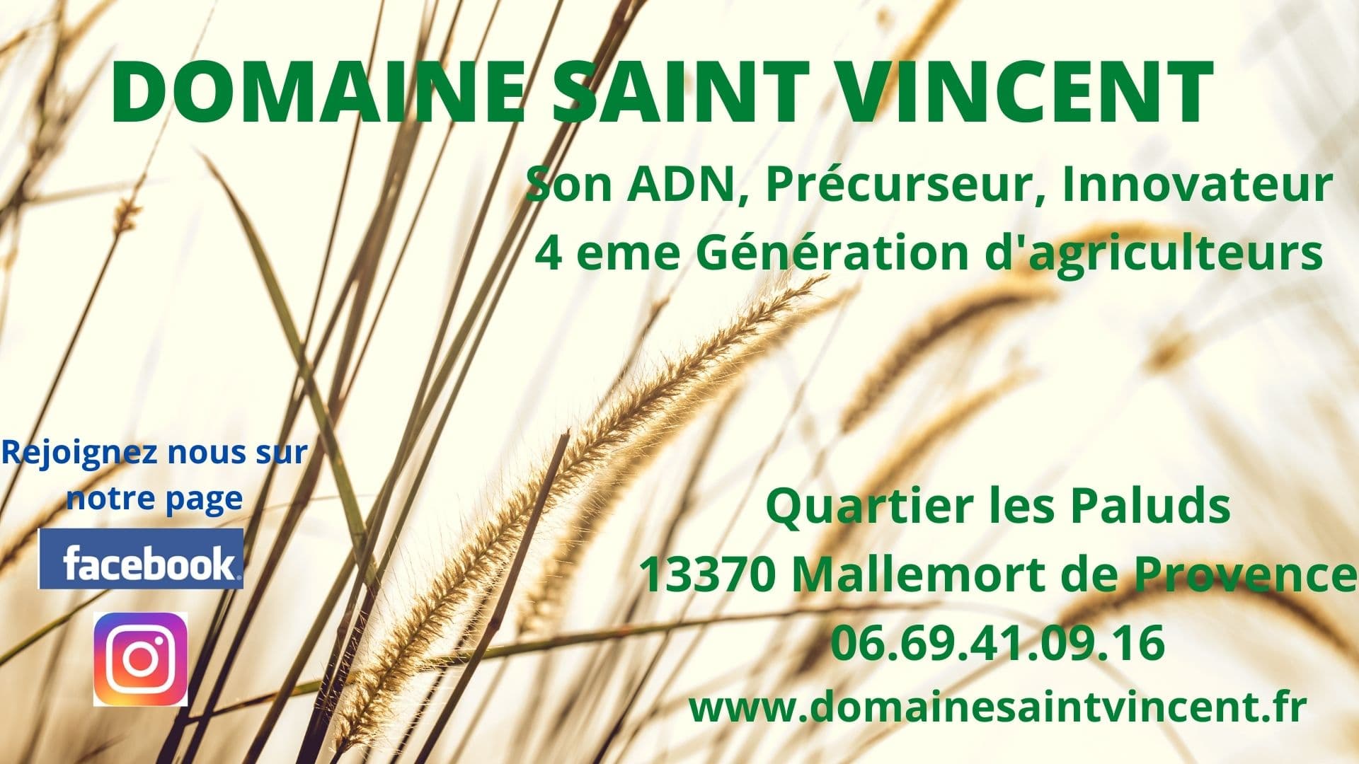 Domaine Saint Vincent