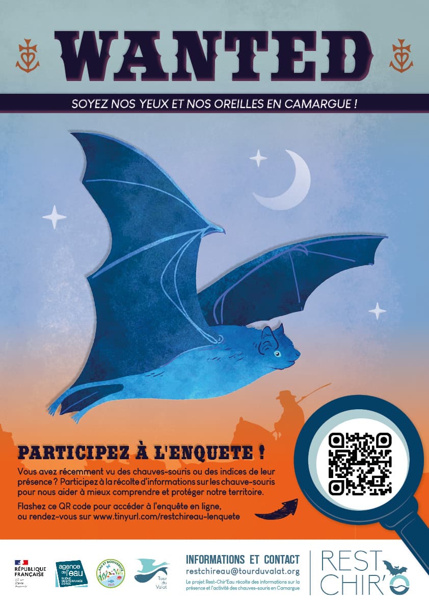 Enquête participative pour le suivi de chauve souris : projet Rest Chir'eau
